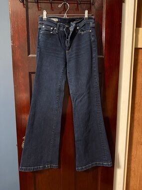 Gap Authentic Flare Jeans